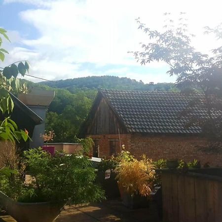 "Cote Nature", Appartement Cosy Au Coeur De Munster เมาสแตร์ ภายนอก รูปภาพ