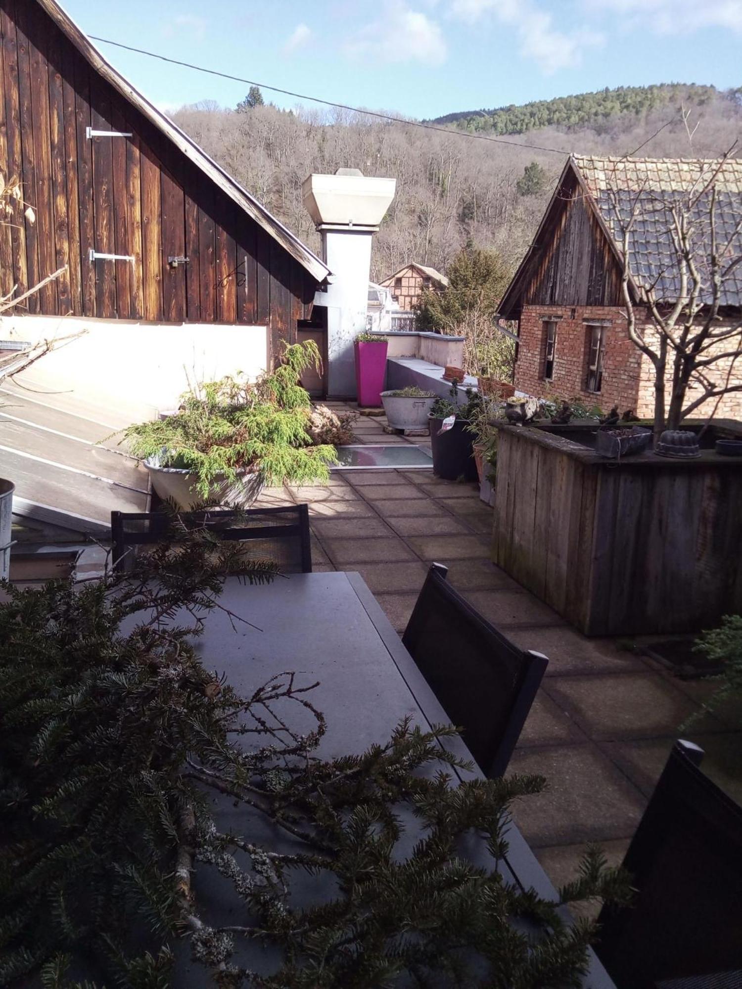 "Cote Nature", Appartement Cosy Au Coeur De Munster เมาสแตร์ ภายนอก รูปภาพ